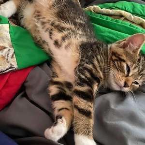 Meet your Posher, Paul